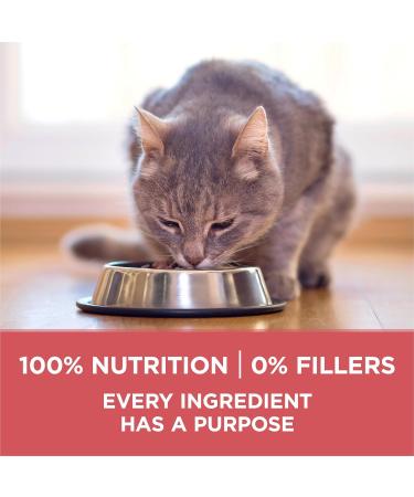 Purina ONE +Plus Dry Cat Food Indoor Advantage Salmon - 1.8 kg Bag 1.8 kg (Pack of 1) - Buy Online on GoSupps.com