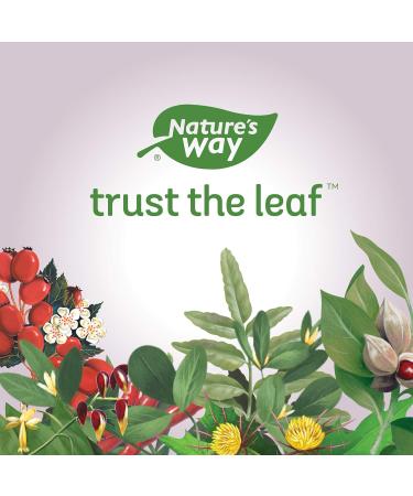 Nature's Way Hawthorn Health Supplement 90 Count - Buy Online on GoSupps.com