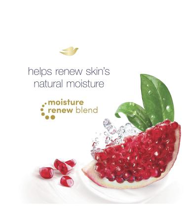 Dove Rejuvenating Pomegranate and Hibiscus Tea Body Wash 22 Fl Oz - Pack of 4 - Buy Online on GoSupps.com