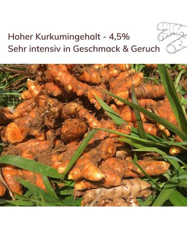 Buy 1kg Organic Turmeric Powder from Madagascar | Free Vanilla Bean & Saffron | High Turmeric Content | De- ko-006 Certified | Fair Trade | 4 Pack - Buy Online on GoSupps.com