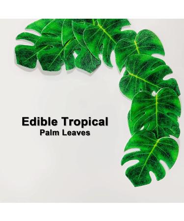 48pcs Edible Tropical Turtle Leaves Cupcake Toppers  CGHCEAIÂ  Palm Leaves Cake Decoration For Hawaii Theme Jungle Party Cake Toppers Birthday Party Supplies - Buy Online on GoSupps.com