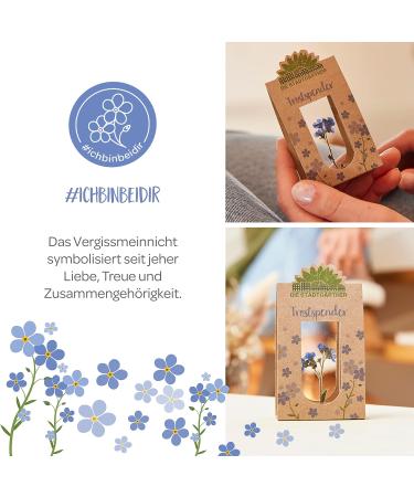 City Gardeners Trostspender: Forget-Me-Not Glass Gift | Handmade Consolation for Friends Teachers & Encouragement | Unique Farewell Gift from Germany - Buy Online on GoSupps.com