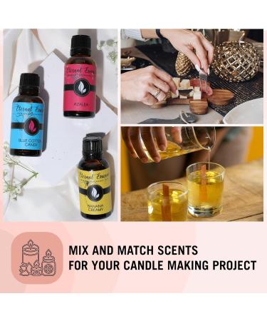 Eternal Essence Namaste Garden Set of 6 Premium Fragrance Oils - Nightly Ritual Citrus Mantra Saje Present Moment & More - Ideal for Candle & Soap Making - 10ML - Buy Online on GoSupps.com