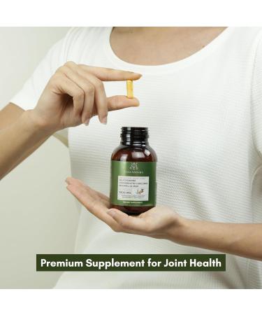 Glucosamine Chondroitin MSM Boswellia Supplement - 1200mg Joint Care Capsules for Healthy Joints & Mobility - 90 Count Relief Formula - Premium Joint Comfort & Flexibility - Buy Online on GoSupps.com