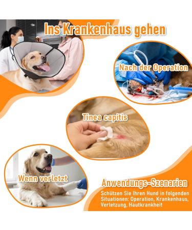 Roll Ruff Dog Leak Protection Collar - Adjustable Soft Protective Tape Breathable Neoprene for Ultimate Comfort - Black & Gray M Size - Buy Online on GoSupps.com