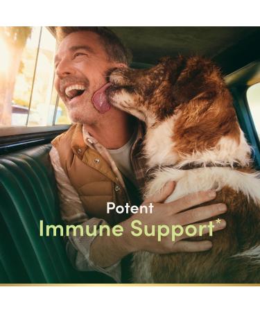 Nature s Bounty Quercetin Immune Support 500mg With Vitamin C Rose Hips & Rutin 60 count 60 Count (Pack of 1) - Buy Online on GoSupps.com