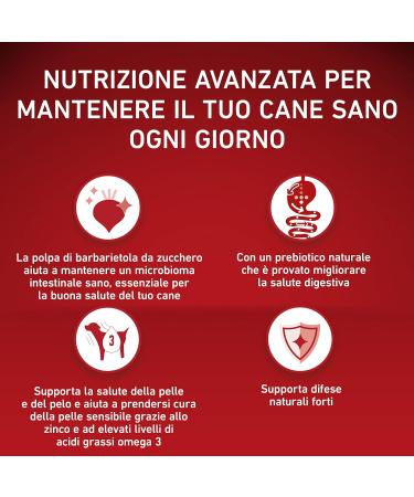 PURINA ONE Mini Small Delicate Adult Dog Food with Salmon and Rice 6 x 1.5 kg Bags - Buy Online on GoSupps.com