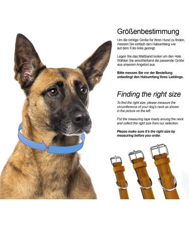 Leather Sniffing Fans Dog Collar - Padded & Robust for Large Medium & Small Dogs (S: 24-30cm Beige) - International Shipping Available - Buy Online on GoSupps.com