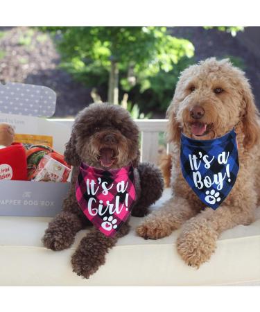STMK It's A Boy It's A Girl Plaid Dog Bandana Pregnancy Announcement Plaid Dog Bandana Baby Announcement Plaid Dog Bandana Gender Reveal Photo Prop for Dog Puppy (Blue & Pink) - Buy Online on GoSupps.com