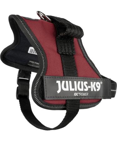 Buy K9 Powerharness XS/Mini-Mini in Chestnut - Perfect Fit for Small Dogs | International Shipping - Buy Online on GoSupps.com