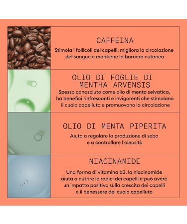 Nioxin Sistema 4 Triphasic Kit Shampoo 300ml Conditioner 300ml Treatment 100ml advanced thinning kit - Buy Online on GoSupps.com