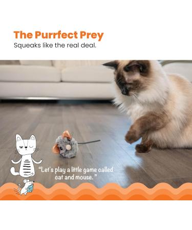 Petstages Squeak Squeak Mouse Plush Catnip Cat Toy - Buy Online on GoSupps.com