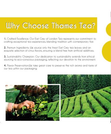 Thames Tea | Premium Flavoured Loose Leaf Tea | Citrus Earl Grey | Luxury British Tea Experience - Buy Online on GoSupps.com