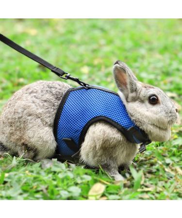 Adjustable Soft Rabbit Dishes & Elastic Leash for Small Pets - Kitty & Bunny Walking Set (Blue XS - 20-27.5cm) - Buy Online on GoSupps.com