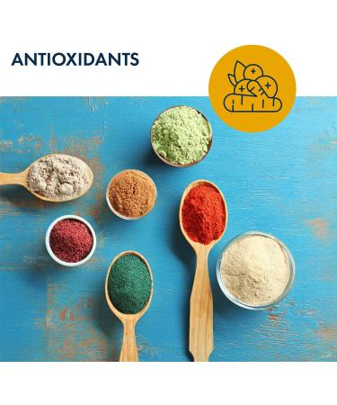 Metabolic Maintenance Alpha Lipoic Acid 100mg - Antioxidant for Nerve & Liver Health | 90 Capsules - Shop Internationally - Buy Online on GoSupps.com