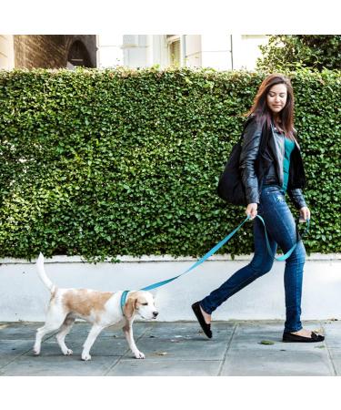 Personalized Reflective Dog Collar & Leash Set - Tagme Sky Blue 1.5m Double-Sided for Small Dogs - 1-Pack - Buy Online on GoSupps.com