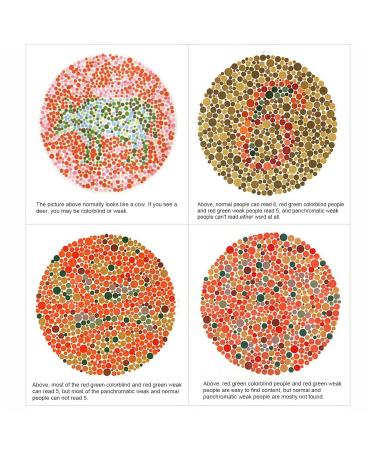 Red Green Color Blind Glasses - Lightweight Golden Frame for Color Weakness Correction | Durable for Men & Women | Indoor & Outdoor Use - Buy Online on GoSupps.com