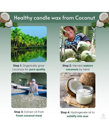 Aromatherapy Palo Santo Candles - Natural Coconut Wax for Stress Relief | Perfect Gifts for Meditation & Yoga | 8.5 oz Essential Oil Candles - Buy Online on GoSupps.com