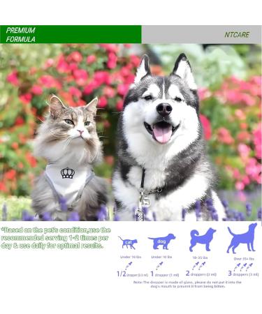 L-Lysine Supplement for Cats - Cat Supplement for Sneezing and Runny Nose Cold Immune Support Eye Function and Respiratory Health Lysine 2 fl oz - Buy Online on GoSupps.com