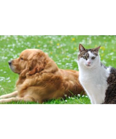 Worm Free Globules for Pets - Natural Worming Treatment for Dogs & Cats - 10g | International Shipping - Buy Online on GoSupps.com