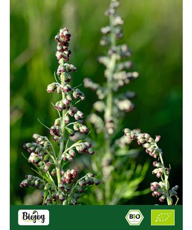  Biojoy Biojoy Organic Absinthe Tea (500g) dried and cut without additives (Artemisia absinthium) - Buy Online on GoSupps.com