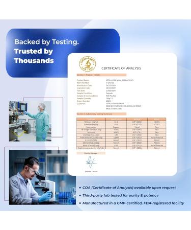 Sotalix Sea Moss Capsule with Ashwagandha Burdock Root Bladderwrack Turmeric - Powerful Natural Immunity Booster (150 Count (Pack of 1)) - Buy Online on GoSupps.com