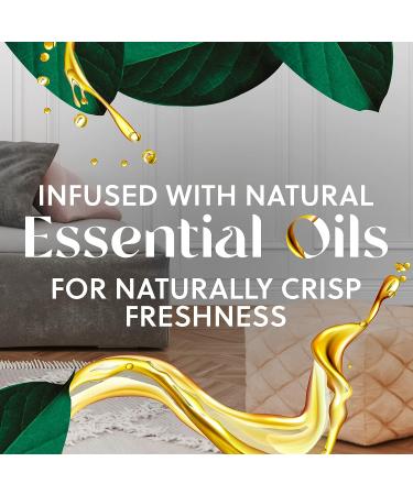 Air Wick Plug in Scented Oil Refill 5 ct Fresh New Day Palm Breeze - Essential Oil Air Freshener - Buy Online on GoSupps.com