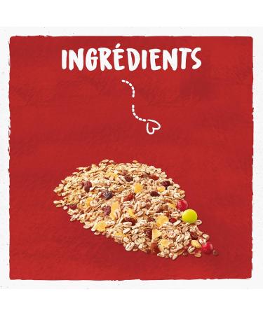 BJORG - Muesli Prot ines Bio - L gumineuses Raisin Cranberry - R duit En Sucres - Riches En Fibres - 375g (L'emballage peut varier) (Lot de 4) L gumineuses Raisin ranberry - Buy Online on GoSupps.com