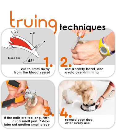 Professional Heavy Duty Dog Nail Clippers with Safety Guard for Small, Medium, and Large Breeds - Painless Nail Trimming with Anti-Slip Handles - Includes Free Nail File - Buy Online on GoSupps.com