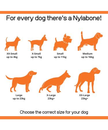 Nylabone Power Chew Chicken Dental Chew Toy Medium - for Dogs up to 16kg - Buy Online on GoSupps.com