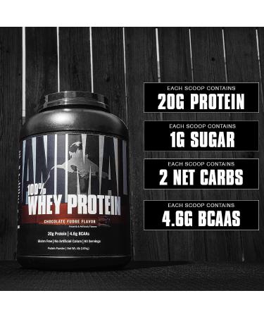 Animal 100% Whey Protein Powder - Chocolate Fudge 4 lb - Pre/Post-Workout Recovery Blend with Low Sugar - 100% Whey Protein for Anytime Boost - Buy Online on GoSupps.com