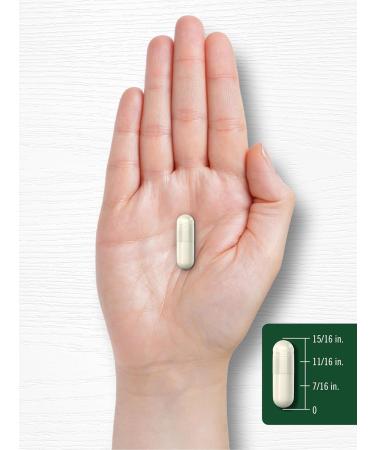 Carlyle Magnesium Glycinate with Ashwagandha | 120 Vegetarian Capsules | Potent Duo | Non-GMO and Gluten Free Supplement - Buy Online on GoSupps.com