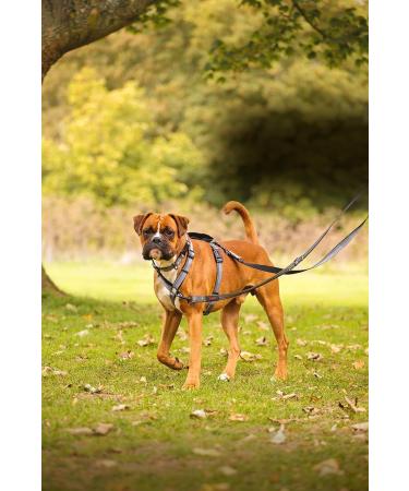 HALTI Double-Ended Dog Lead Small Red - Premium Neoprene-Padded Leash for Puppy & Training - 2m Reflective Adjustable Lengths - Ideal for Hands-Free Running - Buy Online on GoSupps.com