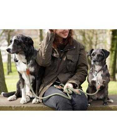 Leitengr n Adjustable Dog Leash for Little Dogs | 3M Long 0.8cm Wide | Lightweight Devon Model with 2 Carabiners | Green Hoary | International Shipping Available - Buy Online on GoSupps.com