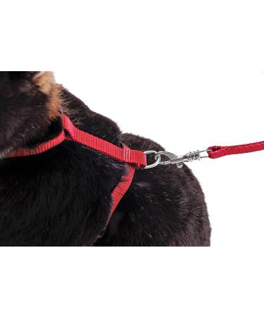 Buy Karlie Art Sportiv Plus Rabbit Harness & Leash - Red 140 cm | Durable Comfortable eCommerce Shipping Worldwide - Buy Online on GoSupps.com