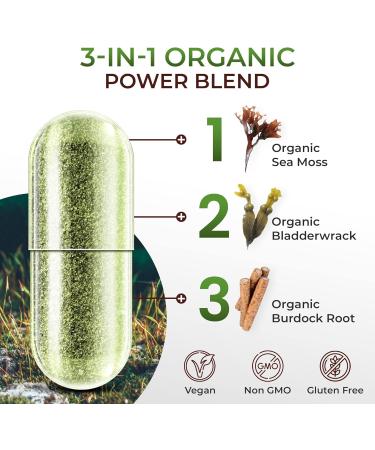Sea Moss Organic Vegan Capsules with Bladderwrack & Burdock Root - 90 Capsules, 4000mg per Serving, Rich in Iodine - Non GMO, Gluten Free - Buy Online on GoSupps.com