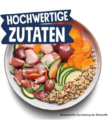 Pets Deli Wet Dog Food - Chicken Carrot Quinoa & Zucchini - Gluten & Sugar-Free (6 x 400g Pack) - Buy Online on GoSupps.com