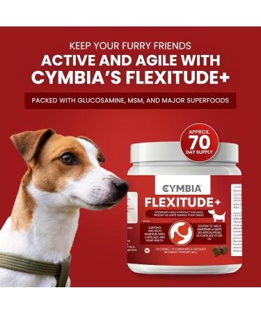Cymbia FLEXITUDE+ Dog Hip and Joint Supplement Glucosamine for Dogs with MSM & Superfoods All-Natural Dog Supplement for Joint Pain Relief & Strengthen Bones Approx. 70 Days Supply Chicken Flavour - Buy Online on GoSupps.com