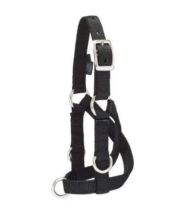 Weaver Leather Livestock Sheep & Goat Training Halter Small