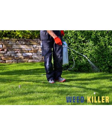 Blissify Spirit White Vinegar Food Grade Acetic Acid Liquid for Household Cleaning Cooking Baking and Pickling (5L Pack of 3) - Buy Online on GoSupps.com