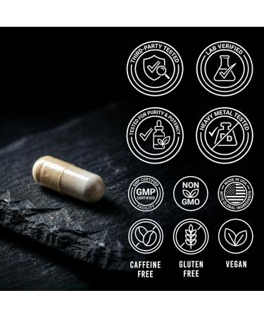 FOG OFF Brain Nootropic Supplement - Focus Pills for Memory Clarity & Energy - Vitamin B1 Black Maca Root L-Glutamic Acid Phosphatidylserine 5-HTP Alpha-Lipoic Acid Huperzine-A - Buy Online on GoSupps.com