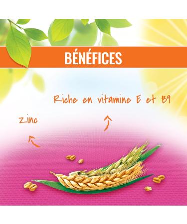 GAYELORD HAUSER - Levure de Bi re/S l nium - Source de Vitamine E et B9 - Flacon de 400 Comprim s Levure De Bi re & S l nium - Buy Online on GoSupps.com