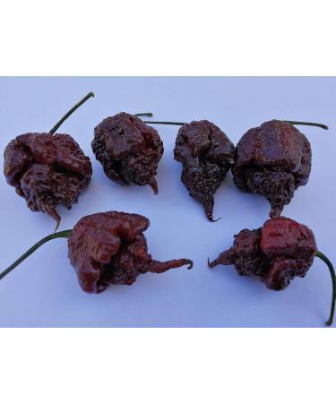  Assopepper di Massimo Utro CAROLINA REAPER RED YELLOW & CHOCOLATE TRIS OF 35g 99.9% Pepper CURRENT WORLD RECORD - Buy Online on GoSupps.com