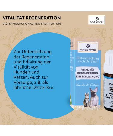 Buy Paws & Patch Vitality Regeneration Detox Flower Mix for Dogs & Cats - 10g Bach Flower Globules for Detox Cure - International Shipping Available - Buy Online on GoSupps.com