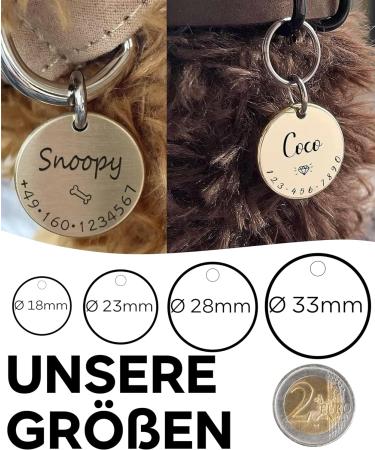 Paws & Peewees Engraved Personalized Dog Collar Trailer - Custom Name Symbol & Phone Badge for Dogs Puppies & Cats - 18mm Silver-Matt - Buy Online on GoSupps.com