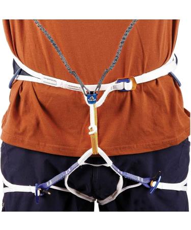 Blue Ice Hydra Leash - Durable and Stylish Blue Leash for Dogs - Buy Online on GoSupps.com