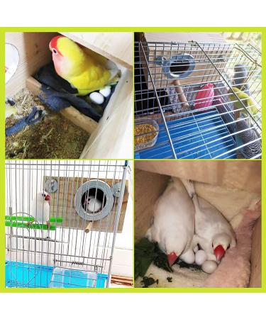 Parakeet Nest Box for Breeding | Budgie, Cockatiel, Lovebird & Parrot Mating House | Perfect for Large & Medium-Sized Birds - S Size (7.87 x 4.72 x 4.72 inch) - Buy Online on GoSupps.com
