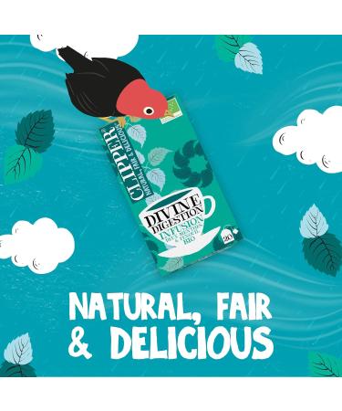 CLIPPER - Organic Infusion - Divine Digestion - Two Mints and Fennel - 20 Organic Infusion Sachets - Pack of 1 - Buy Online on GoSupps.com