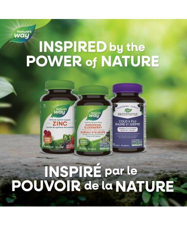 Nature's Way European Elderberry Capsules - Cold and Flu Symptom Relief Cough Sore Throat Support Supplement Elderberry Berries & Flower - Non-GMO Verified - Vegetarian - For Adults & Kids - 100 Capsules - Buy Online on GoSupps.com