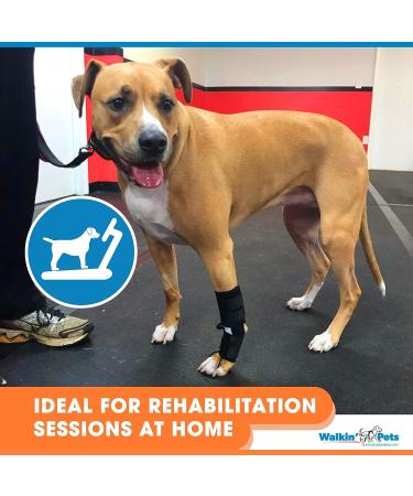 Front No-Knuckling Training Sock for Small Dogs | Supports Proper Paw Movement - Buy Online on GoSupps.com